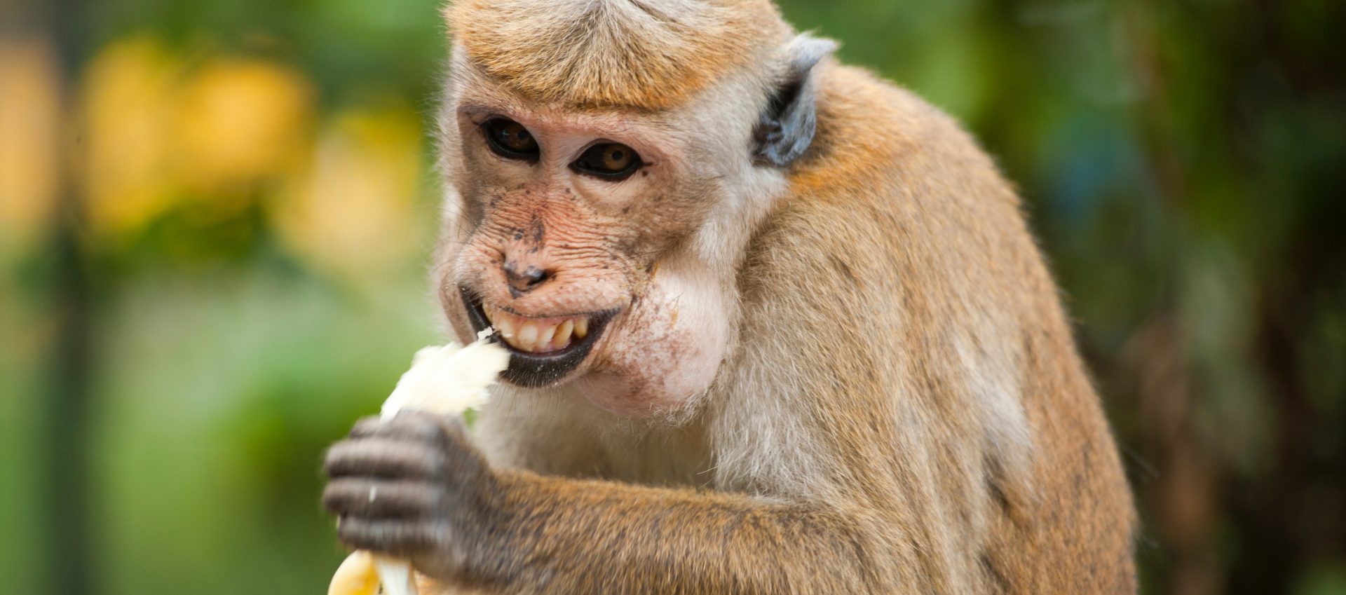 , How Guys Have To Eat Bananas In Public